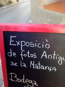 BertaIMG_20150308_102623