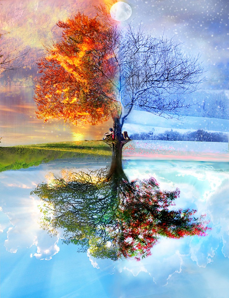 autumn-winter-42993-900x1172