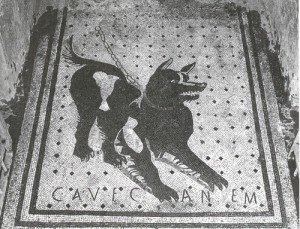 cave-canem1