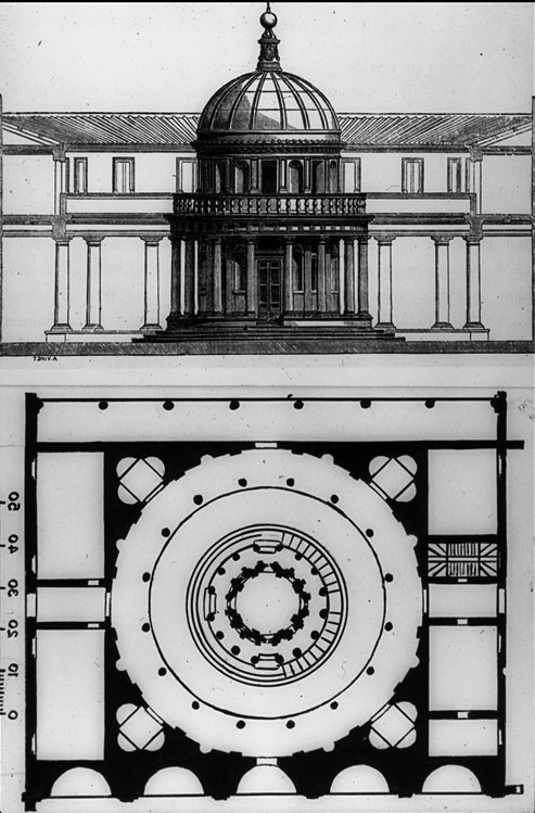 san-pietro-planta