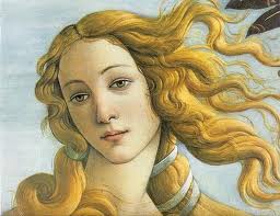 venus-rostre