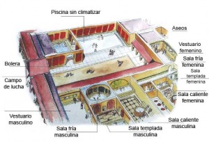 termes