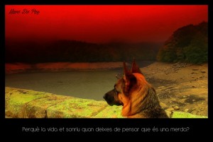 FOTO DE FILOSOFIA_opt