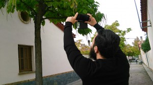 IMG_20151004_164348
