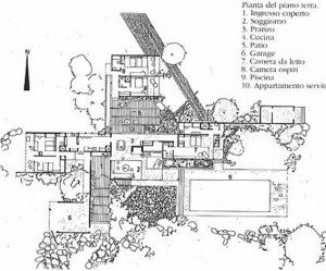 cascada-planta1