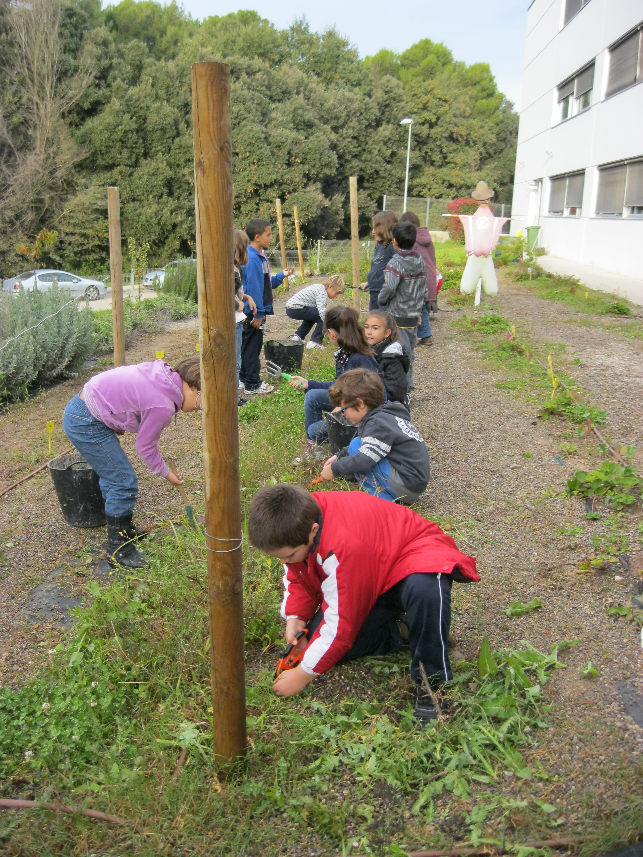 28-doctubre2010-001