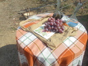 dsc07986-redimensionada