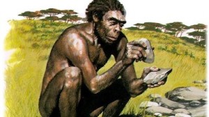 homo-habilis_ARAIMA20150113_0189_17