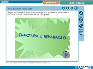 esquelet edu fractura