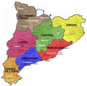 100105_catvegueries21