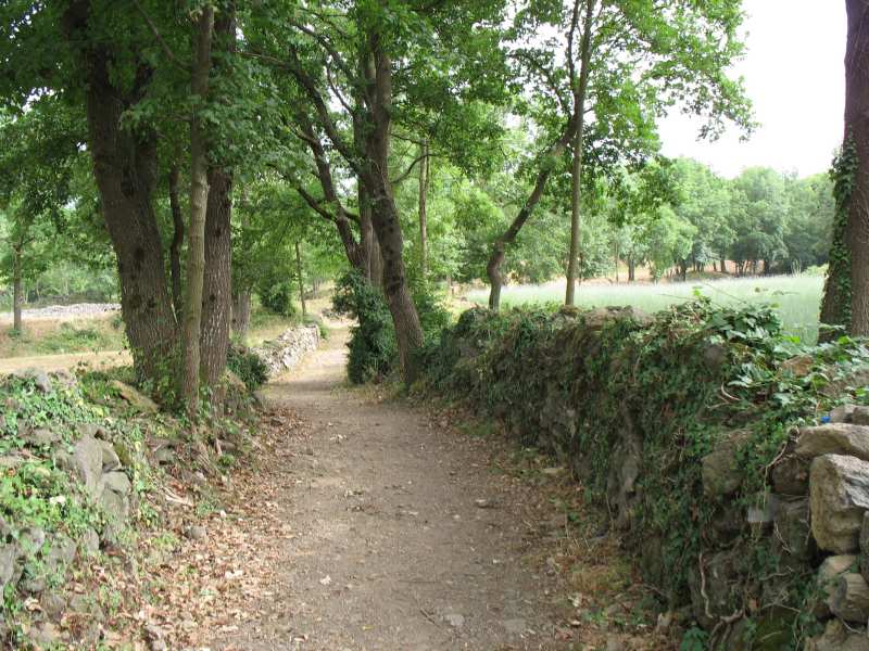 paisatge.jpg