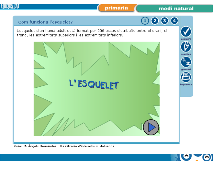 esquelet