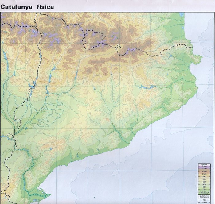 m_catalunyafis