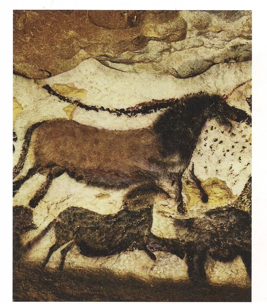 scan0013