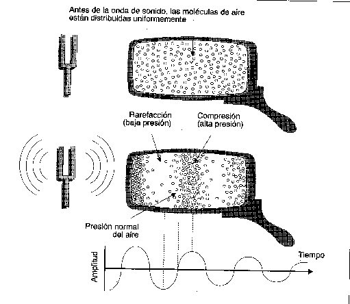 image6.jpg