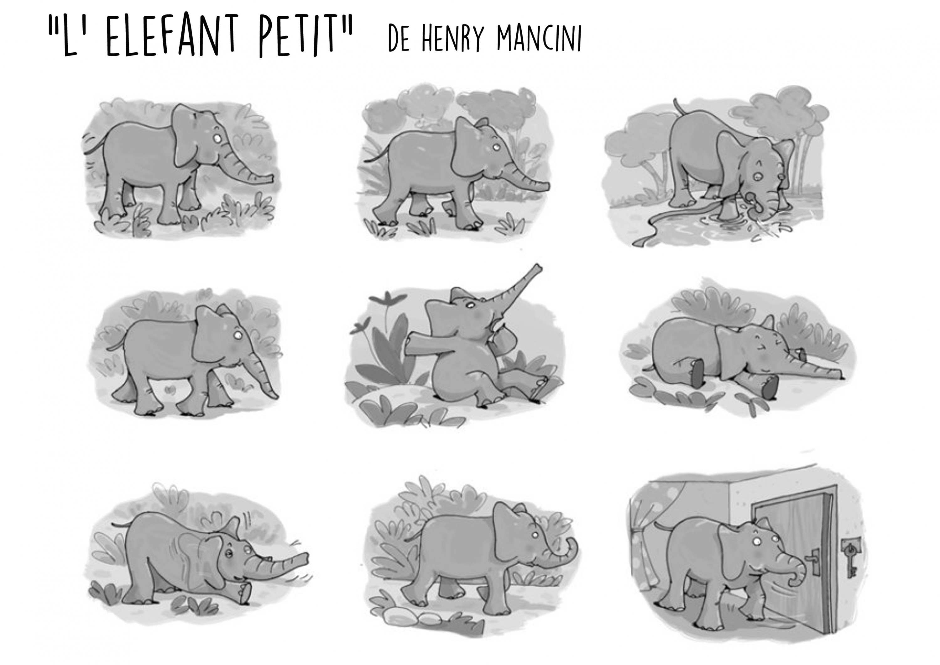 elefant petit
