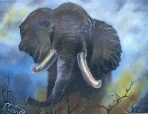elefant2