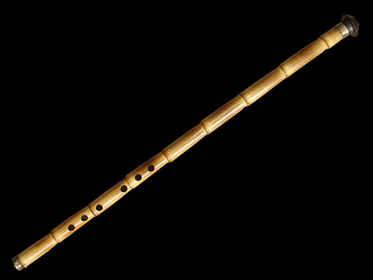 Els instruments Musicoteràpia