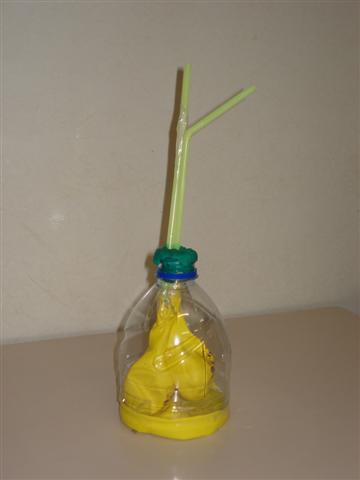 dsc06114-small.JPG