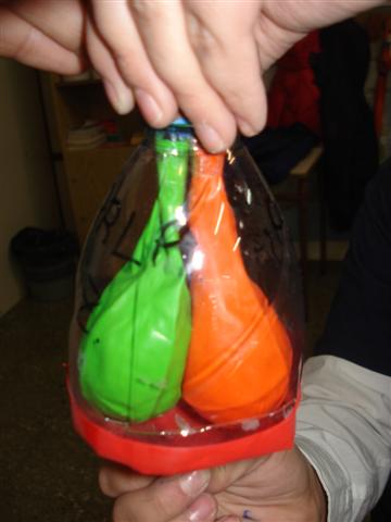 dsc06129-small.JPG