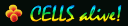 logo.gif