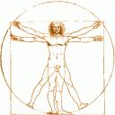 vitruvian1.gif