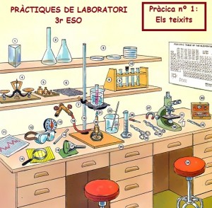 lab nº 1