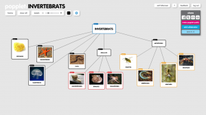 invertebrats