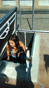 IMG-20150605-WA0002 (1)