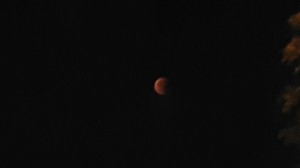 20150928_050341