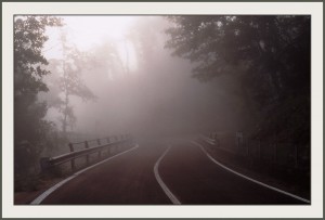 foggy_road205