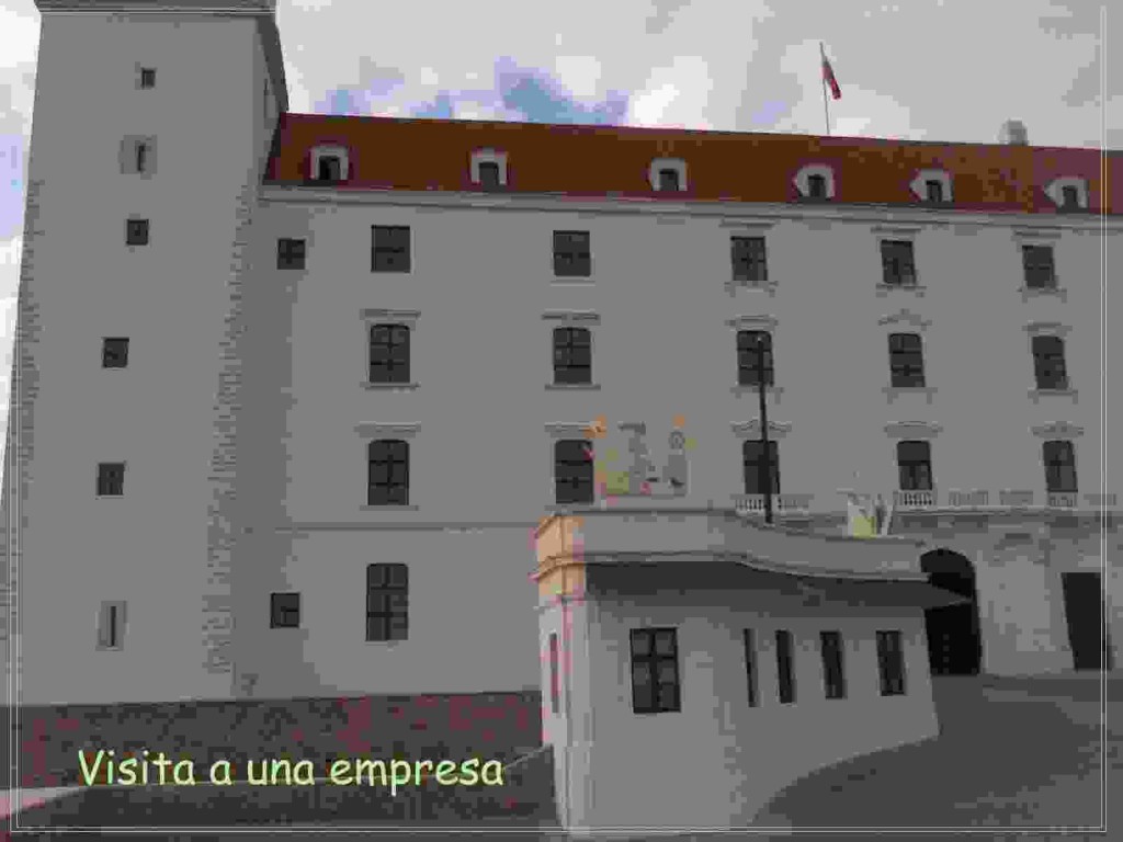 visita_empresa