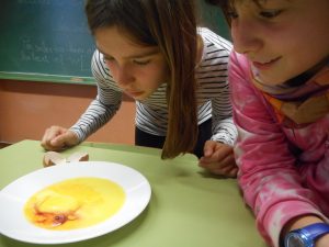 dscn0395-redimensionada