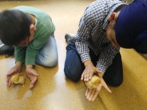 IMG_20170324_123018.redimensionada