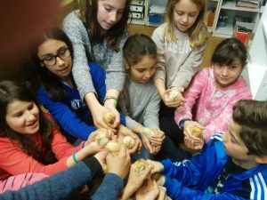 IMG_20170324_124006.redimensionada