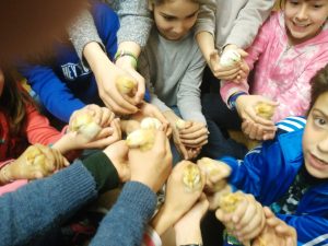 IMG_20170324_124010.redimensionada