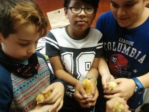 IMG_20170324_124025.redimensionada