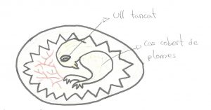 sim-080437917031413380_0001