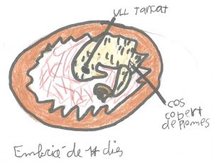 sim-080437917031413381_0001