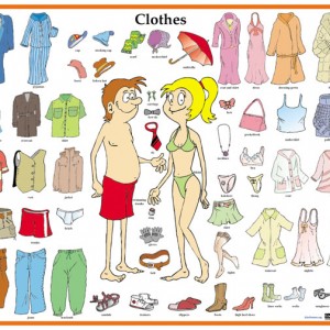 clothes_middle1