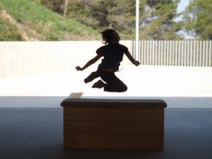 DSCF2379