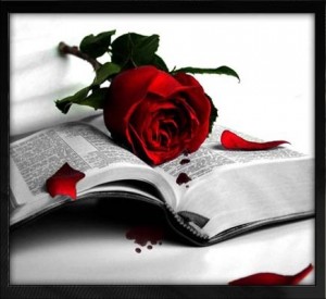 llibre-i-rosa