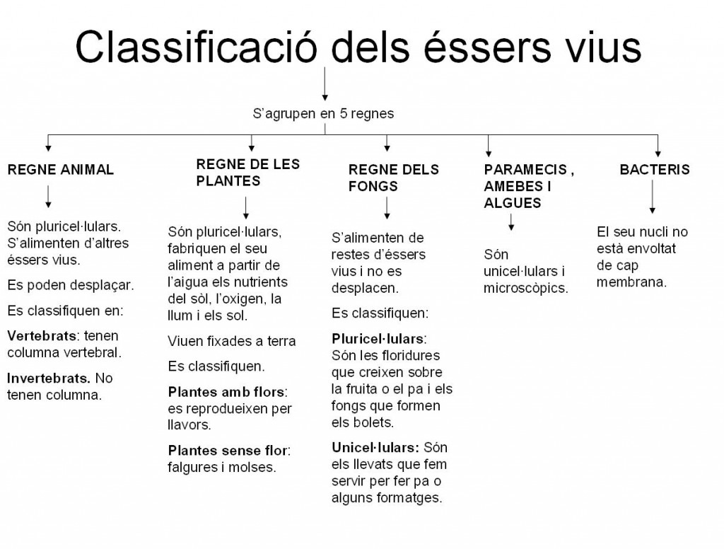 classificació éssers vius