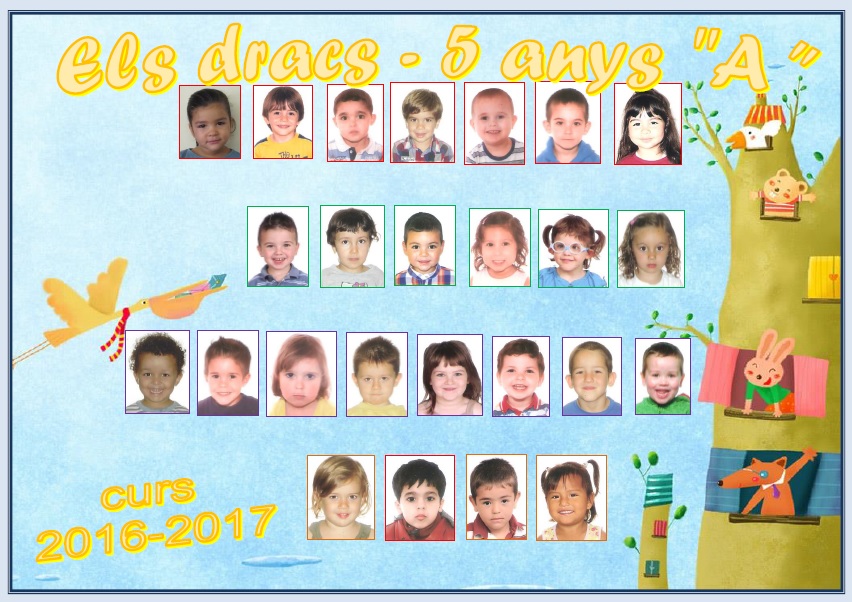 orlap5a