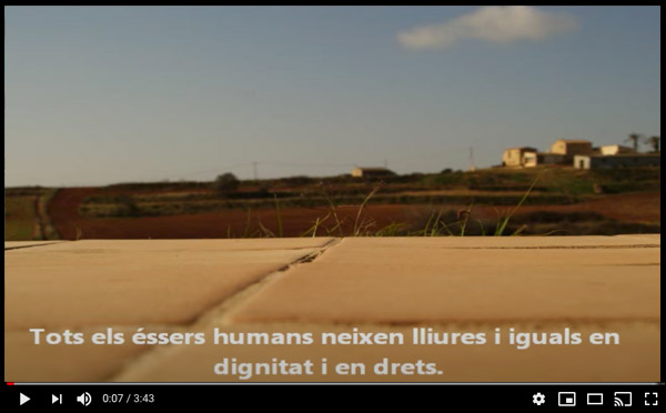 ELS DRETS HUMANS EN UN BREU RESUM IL·LUSTRAT