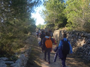 bosc15