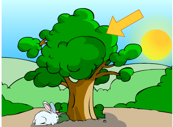 arbre