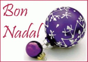 ELS PROFESSORS DE PROJECTE US DESITGEM BON NADAL I FELIÇ 2012