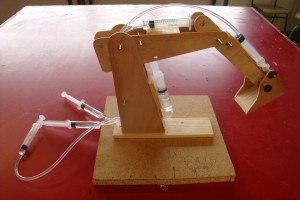 Fotografia: Mercè Mundet Torres