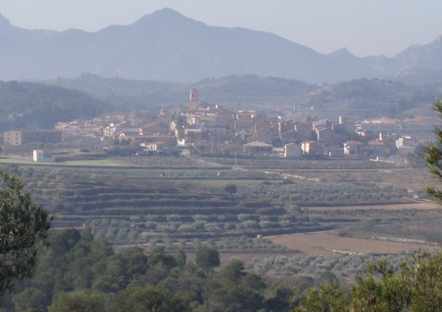 pinell-estolls.JPG